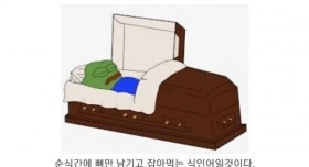 식인어 피라냐의 진실