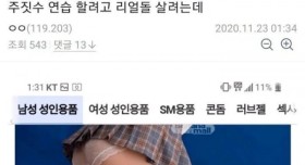 주짓수 연습 하려고 리얼돌 사려는 디시인