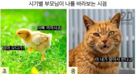 시기별 부모님이 자식을 바라보는 시점